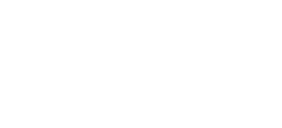 VIP Telecom